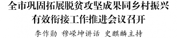 全市巩固拓展脱贫攻坚成果同乡村振兴有效衔接工作推进会议召开